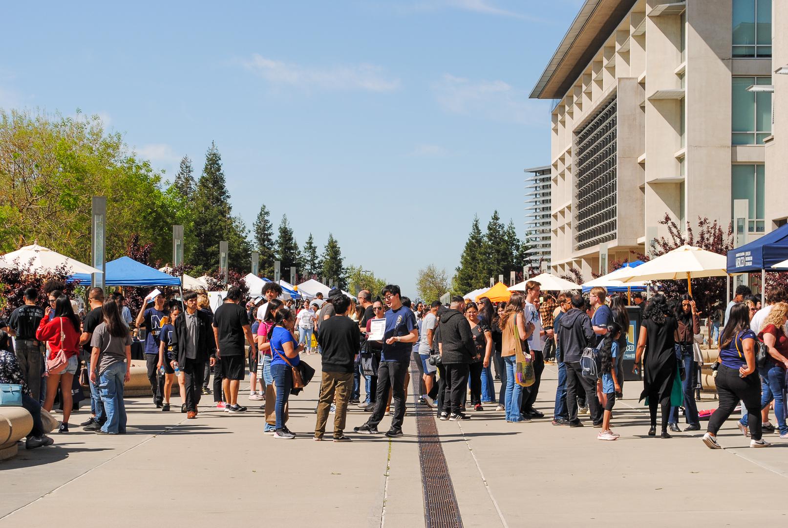 UC Merced Bobcat Day